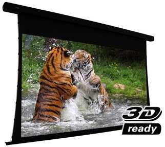 EluneVision Reference Studio 4K Tab-Tensioned Motorized Screen
