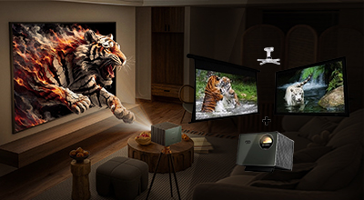 Includes a Reference EVO 8K or Reference Studio 4K screen of our choice coupled with the Valerion VisionMaster Max4K RGB Triple Laser Projector and free ceiling mount It is practically a waste of money to spend money on an 4K projector without getting a Reference-quality screen Reference EVO 8K screens have zero texture, zero pixel-degradation, zero hot-spotting, and have near-perfect color accuracy and color uniformity Do not make the mistake of making the screen an after-thought – no matter how high the performance of your projector, the outputted image can only be as good as the screen that you output it on allows it to be