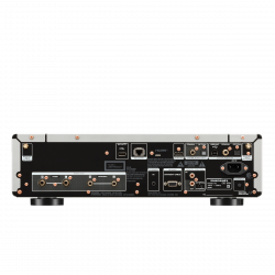 Marantz CD 50n Silver Gold back panel